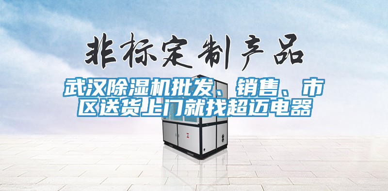 武漢除濕機批發(fā)、銷售、市區(qū)送貨上門就找超邁電器