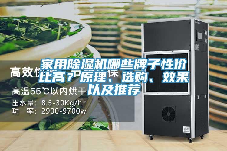 家用除濕機哪些牌子性價比高？原理、選購、效果以及推薦