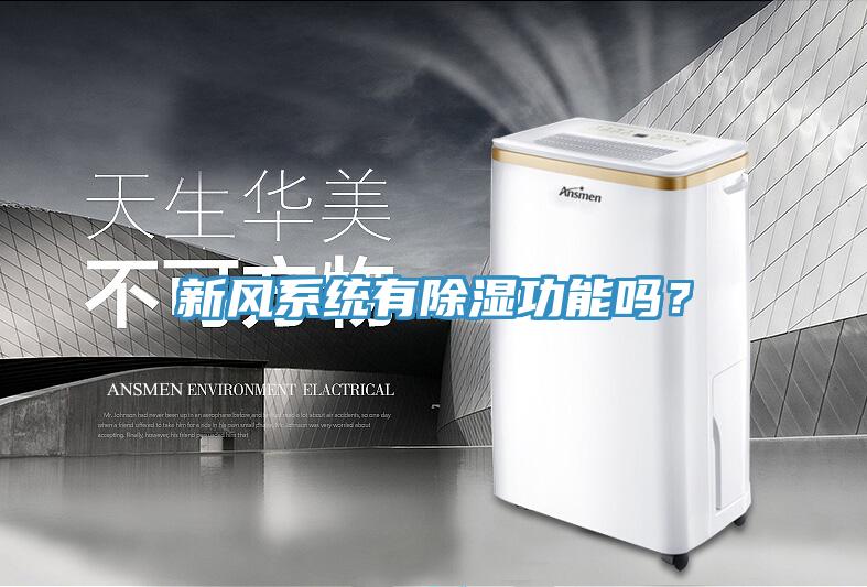新風(fēng)系統(tǒng)有除濕功能嗎？