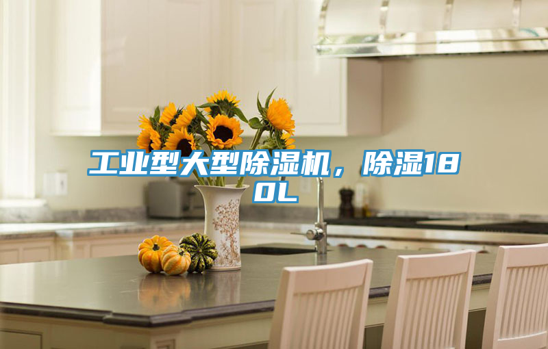 工業(yè)型大型除濕機(jī)，除濕180L