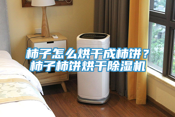 柿子怎么烘干成柿餅？柿子柿餅烘干除濕機(jī)