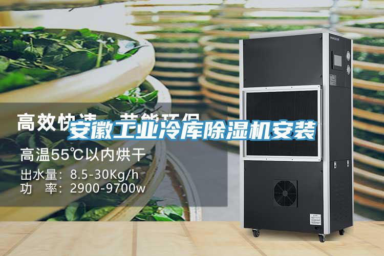 安徽工業(yè)冷庫(kù)除濕機(jī)安裝