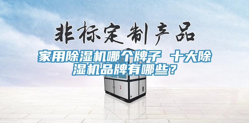 家用除濕機(jī)哪個(gè)牌子 十大除濕機(jī)品牌有哪些？