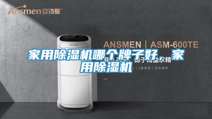 家用除濕機哪個牌子好，家用除濕機