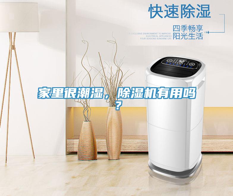 家里很潮濕，除濕機(jī)有用嗎？