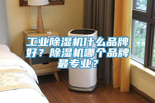 工業(yè)除濕機(jī)什么品牌好？除濕機(jī)哪個(gè)品牌最專業(yè)？