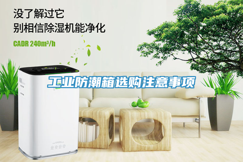 工業(yè)防潮箱選購注意事項(xiàng)