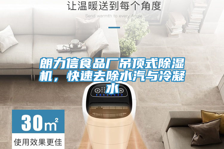 朗力信食品廠吊頂式除濕機，快速去除水汽與冷凝水