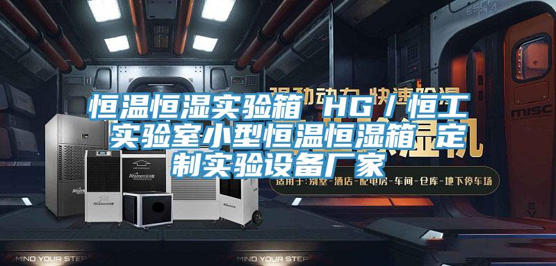 恒溫恒濕實驗箱 HG／恒工 實驗室小型恒溫恒濕箱 定制實驗設(shè)備廠家