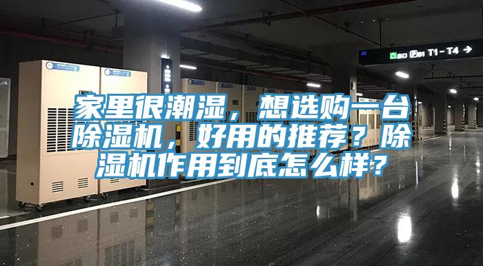 家里很潮濕，想選購一臺除濕機(jī)，好用的推薦？除濕機(jī)作用到底怎么樣？