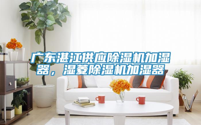 廣東湛江供應(yīng)除濕機(jī)加濕器，濕菱除濕機(jī)加濕器
