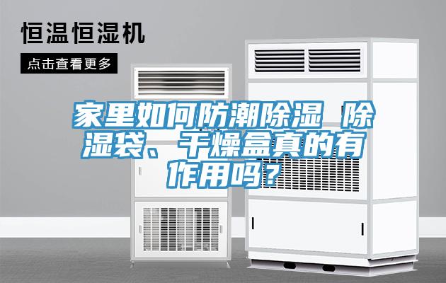 家里如何防潮除濕 除濕袋、干燥盒真的有作用嗎？