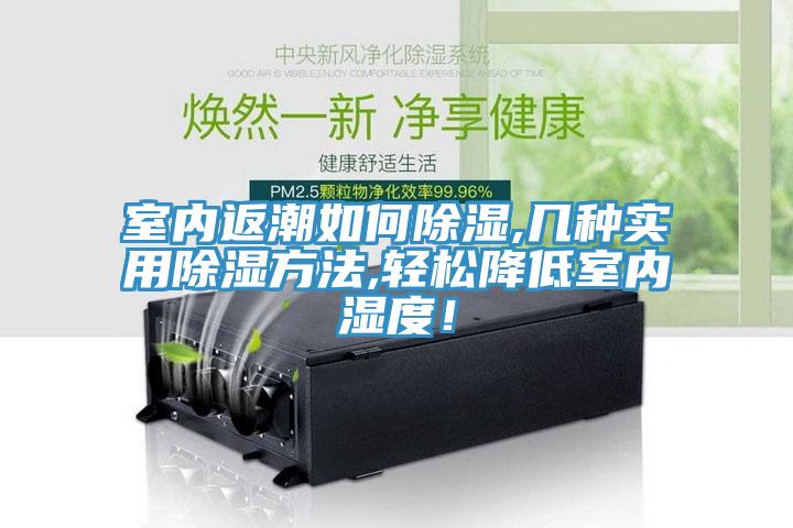 室內(nèi)返潮如何除濕,幾種實(shí)用除濕方法,輕松降低室內(nèi)濕度！