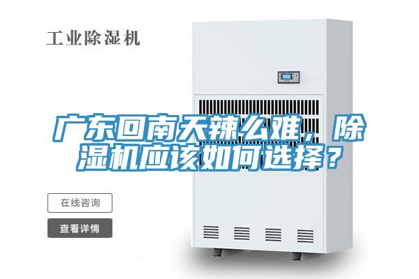 廣東回南天辣么難，除濕機(jī)應(yīng)該如何選擇？