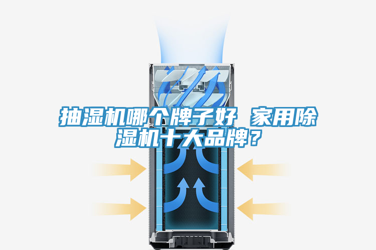 抽濕機哪個牌子好 家用除濕機十大品牌？
