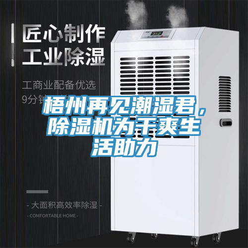 梧州再見潮濕君，除濕機(jī)為干爽生活助力
