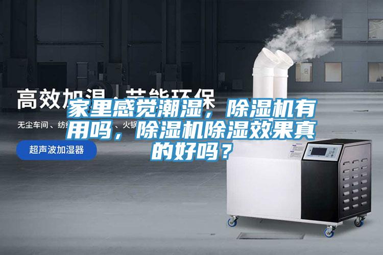 家里感覺潮濕，除濕機(jī)有用嗎，除濕機(jī)除濕效果真的好嗎？
