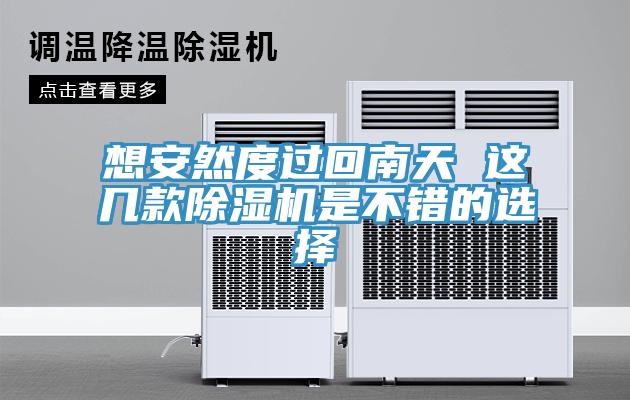 想安然度過回南天 這幾款除濕機(jī)是不錯的選擇