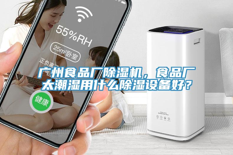 廣州食品廠除濕機(jī)，食品廠太潮濕用什么除濕設(shè)備好？