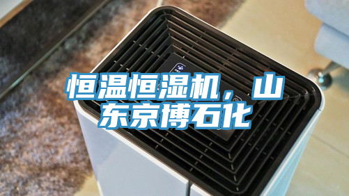 恒溫恒濕機(jī)，山東京博石化
