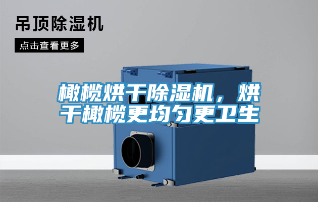橄欖烘干除濕機(jī)，烘干橄欖更均勻更衛(wèi)生