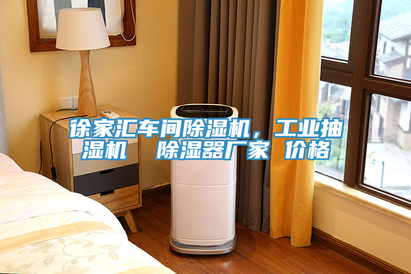 徐家匯車間除濕機(jī)，工業(yè)抽濕機(jī)  除濕器廠家 價(jià)格