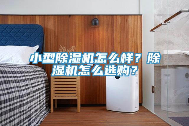 小型除濕機(jī)怎么樣？除濕機(jī)怎么選購？