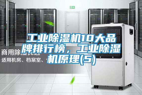 工業(yè)除濕機(jī)10大品牌排行榜，工業(yè)除濕機(jī)原理(5)