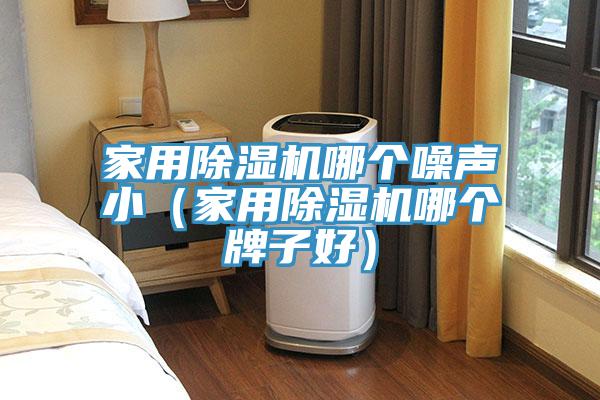 家用除濕機哪個噪聲?。矣贸凉駲C哪個牌子好）
