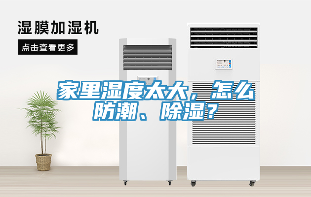家里濕度太大，怎么防潮、除濕？