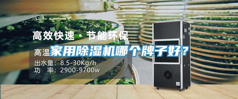 家用除濕機哪個牌子好？
