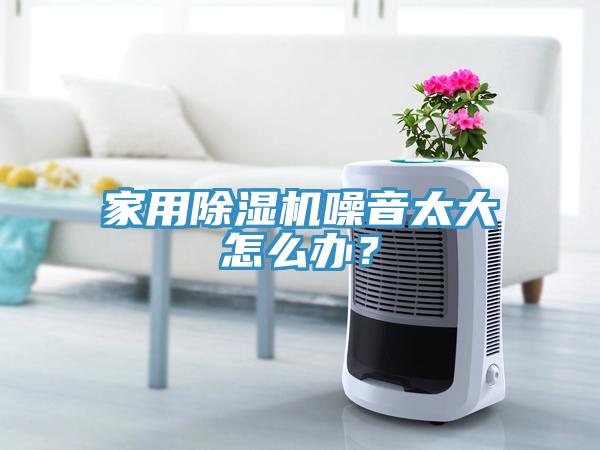 家用除濕機(jī)噪音太大怎么辦？