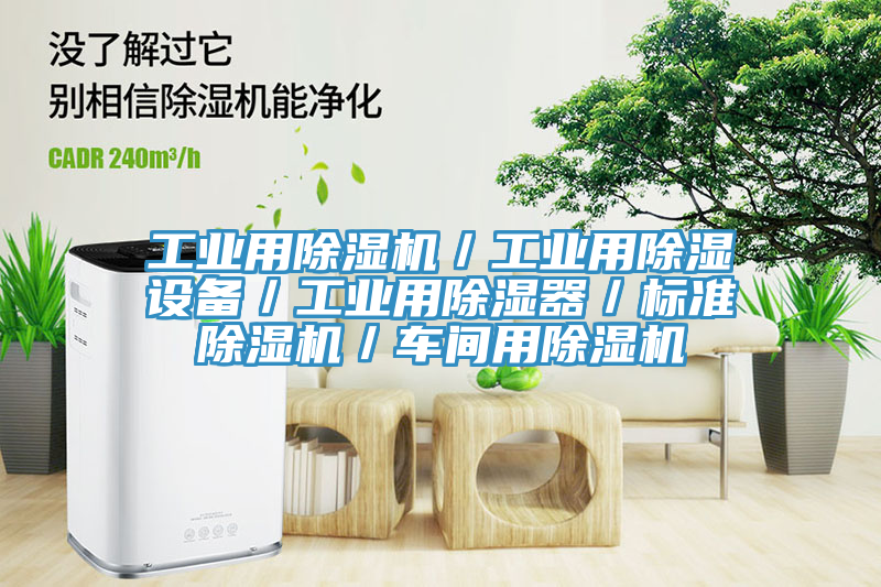 工業(yè)用除濕機／工業(yè)用除濕設(shè)備／工業(yè)用除濕器／標準除濕機／車間用除濕機