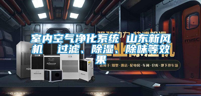室內(nèi)空氣凈化系統(tǒng) 山東新風(fēng)機  過濾、除濕、除味等效果