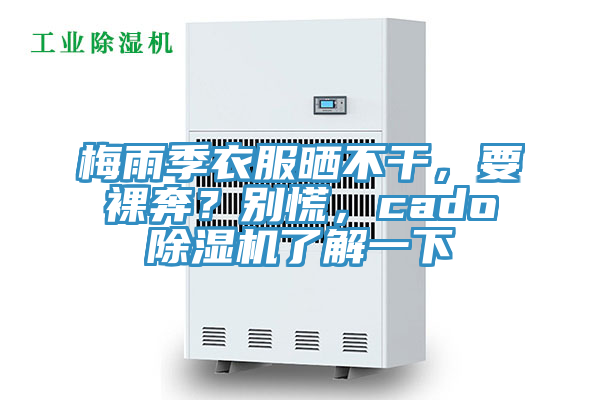 梅雨季衣服曬不干，要裸奔？別慌，cado除濕機(jī)了解一下
