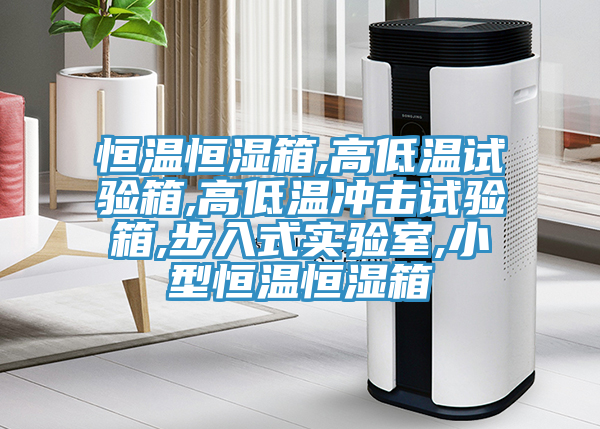 恒溫恒濕箱,高低溫試驗箱,高低溫沖擊試驗箱,步入式實(shí)驗室,小型恒溫恒濕箱