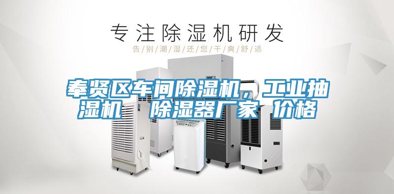奉賢區(qū)車間除濕機，工業(yè)抽濕機  除濕器廠家 價格