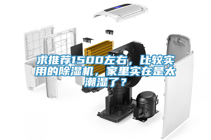 求推薦1500左右，比較實(shí)用的除濕機(jī)，家里實(shí)在是太潮濕了？