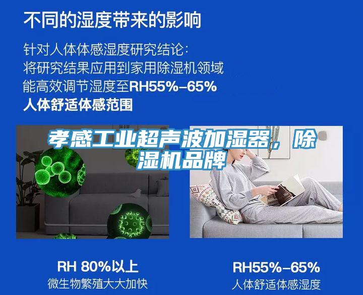 孝感工業(yè)超聲波加濕器，除濕機品牌