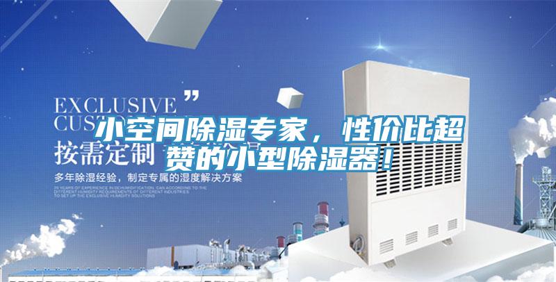 小空間除濕專家，性價比超贊的小型除濕器！