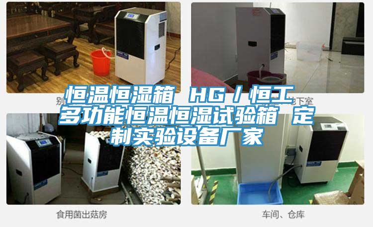 恒溫恒濕箱 HG／恒工 多功能恒溫恒濕試驗(yàn)箱 定制實(shí)驗(yàn)設(shè)備廠(chǎng)家