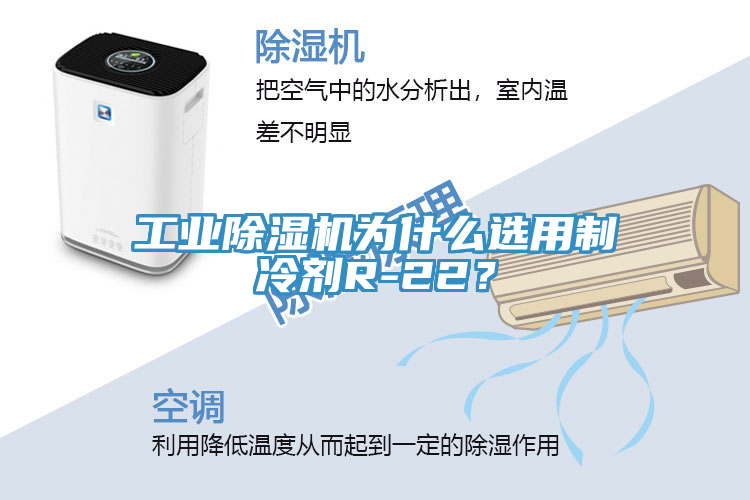 工業(yè)除濕機(jī)為什么選用制冷劑R-22？