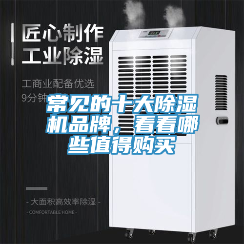 常見的十大除濕機品牌，看看哪些值得購買