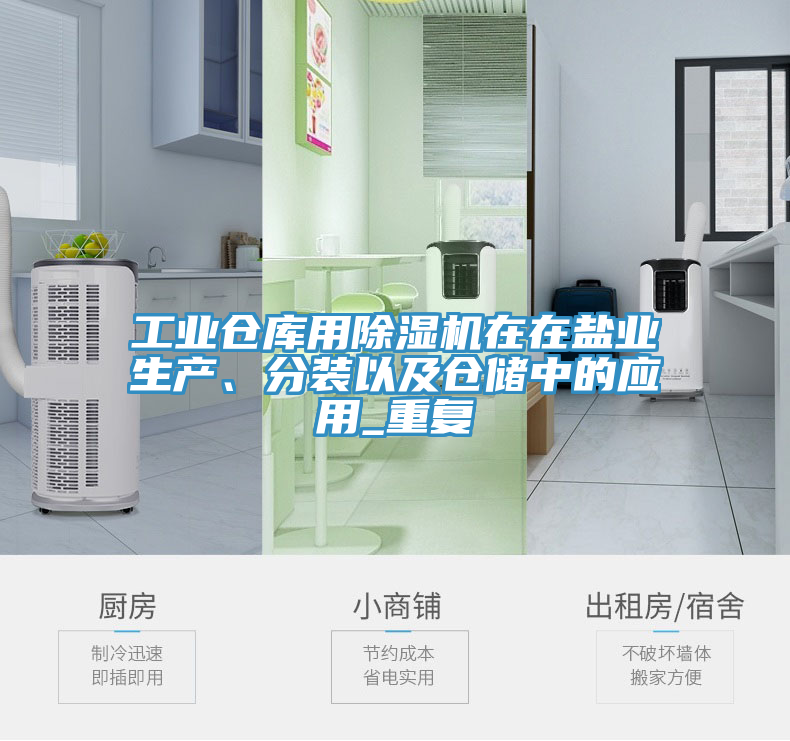 工業(yè)倉(cāng)庫(kù)用除濕機(jī)在在鹽業(yè)生產(chǎn)、分裝以及倉(cāng)儲(chǔ)中的應(yīng)用_重復(fù)