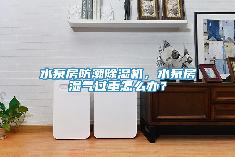 水泵房防潮除濕機(jī)，水泵房濕氣過重怎么辦？