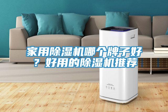 家用除濕機哪個牌子好？好用的除濕機推薦