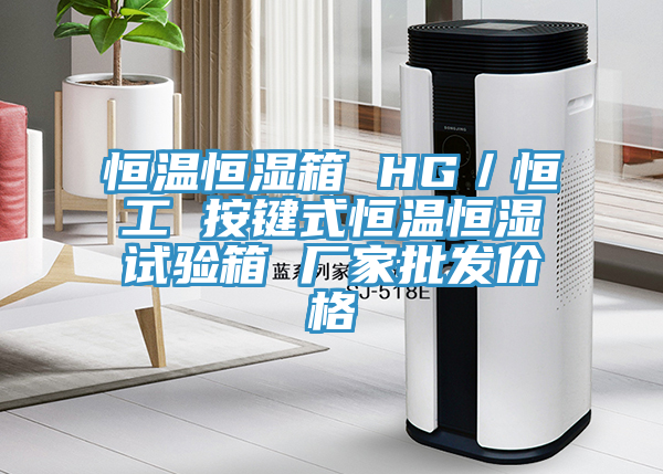 恒溫恒濕箱 HG／恒工 按鍵式恒溫恒濕試驗(yàn)箱 廠家批發(fā)價(jià)格