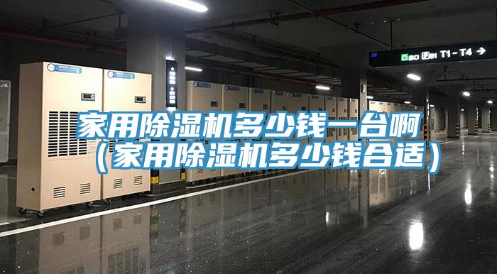 家用除濕機(jī)多少錢一臺(tái)?。矣贸凉駲C(jī)多少錢合適）