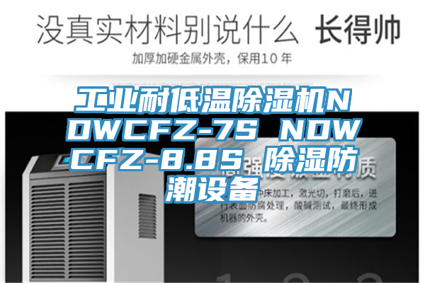 工業(yè)耐低溫除濕機NDWCFZ-7S NDWCFZ-8.8S 除濕防潮設(shè)備