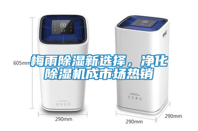 梅雨除濕新選擇，凈化除濕機(jī)成市場(chǎng)熱銷